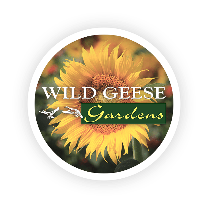 Wild Geese Gardens